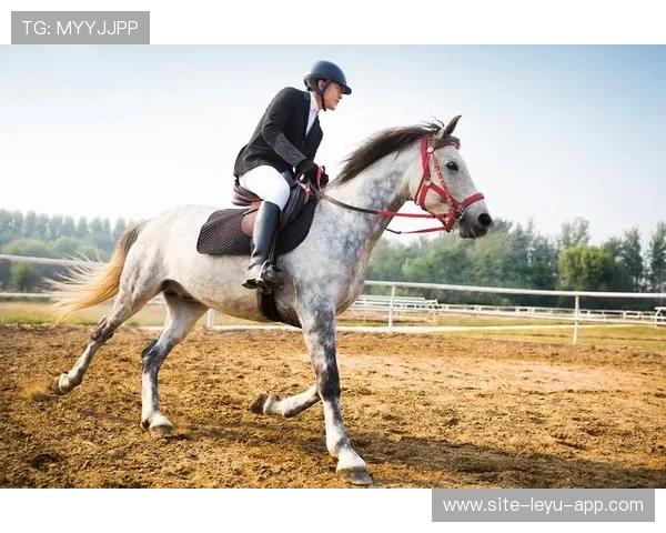 伊朗骑手卡尔·阿里·阿尔达比在巴黎奥运会上首次亮相即夺得障碍赛银牌，表现出色。
