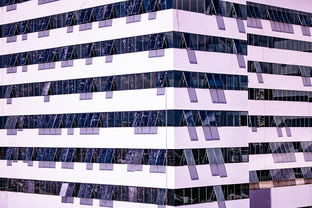 体育新闻中心建设体育数字内容版权保护体系，体育数据新闻